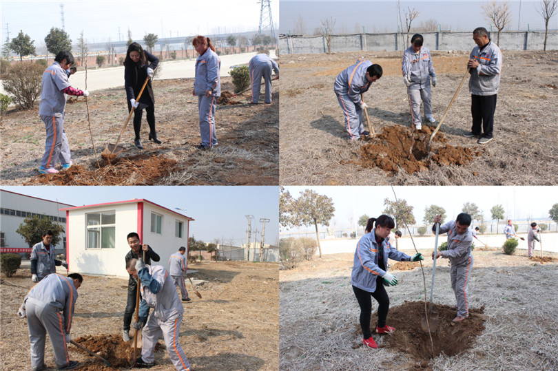 大家齊心合力植樹為明珠添綠1 大家齊心合力植樹為明珠添綠1