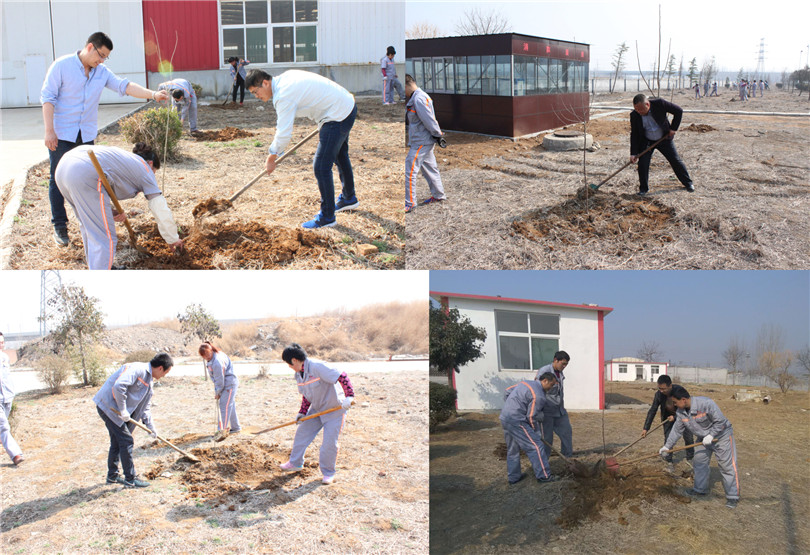大家齊心合力植樹為明珠添綠2 大家齊心合力植樹為明珠添綠2