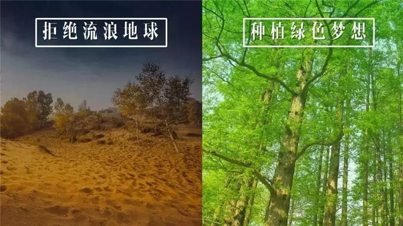 拒絕流浪地球，種植綠色希望