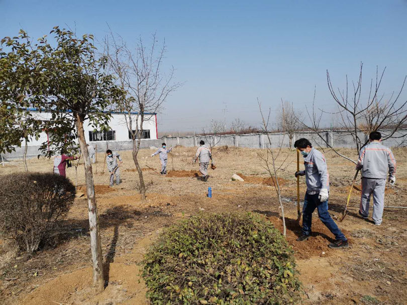 明珠植樹1 明珠植樹1