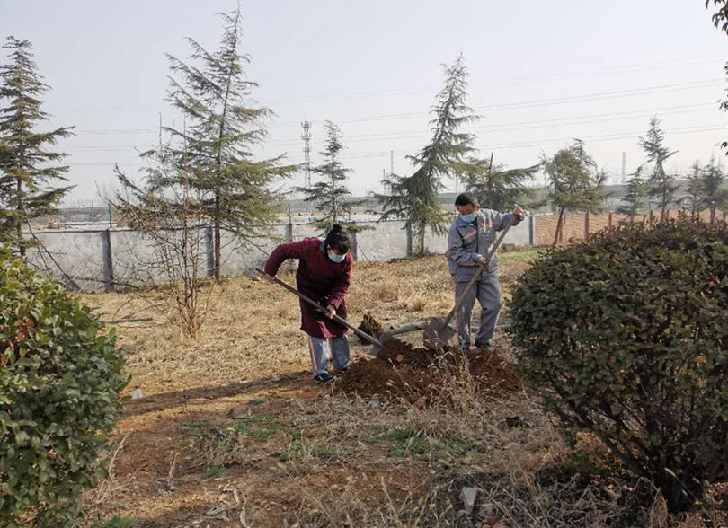明珠植樹2 明珠植樹2