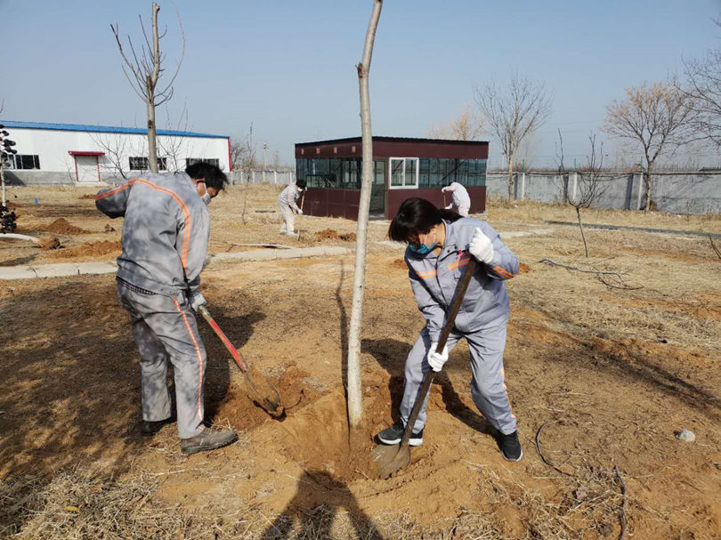 明珠植樹4 明珠植樹4